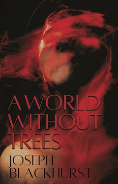 A World Without Trees by Joseph Blackhurst